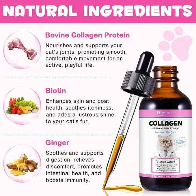 Collagen for Cats, Liquid Collagen for Cat, Liquid Collage Skin and Coat Cats, Cats Collagen, Itch Relief for Cat with Biotin, Supplement for Cats Salmon Flavor