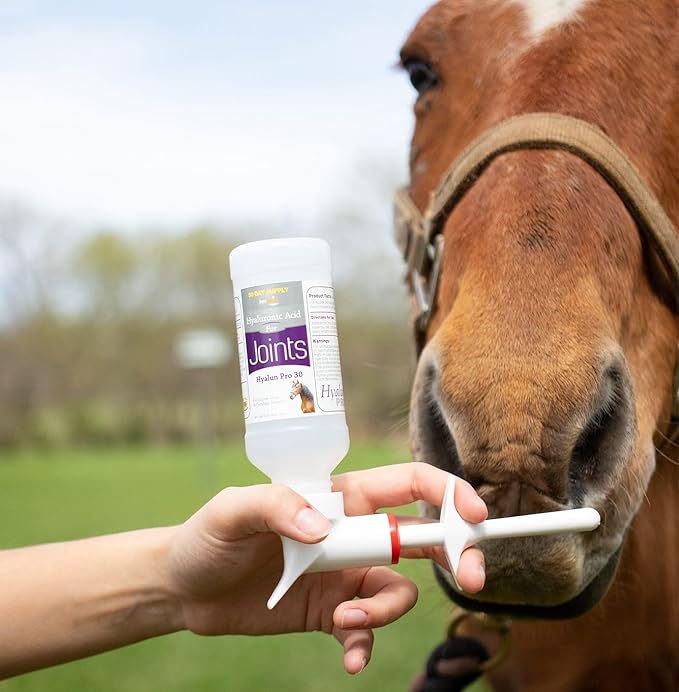 Hyalogic Hyalun Pro 30 - Hyaluronic Acid Joint Support Supplement for Horses – Horse Care Solution with Easy-to-Use Oral Dispenser – Supports Healthy Joints & Cartilage - 30-Day Supply (3oz / 90ml)