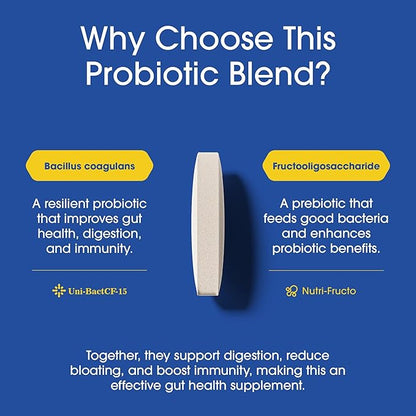 Nutrition Essentials Probiotics for Women and Men - with Lactase Enzyme and Prebiotic Fiber for Digestive Health - 80 Percent + More Potent Supplement for Gut Health Support - Vegan Formula