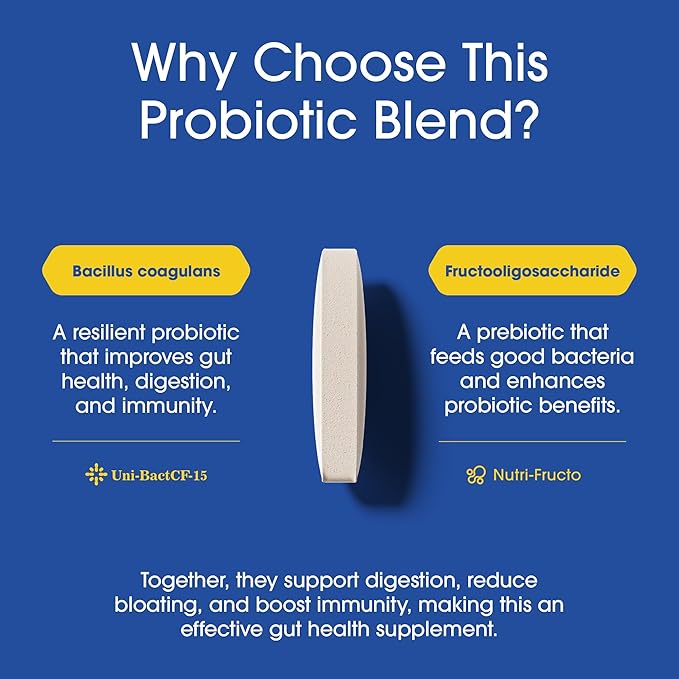 Nutrition Essentials Probiotics for Women and Men with Natural Lactase Enzyme & Prebiotic Fiber for Digestive Health - 80percent + Stronger Supplement for Gut Health Support - 6 Count of 60 Tablets