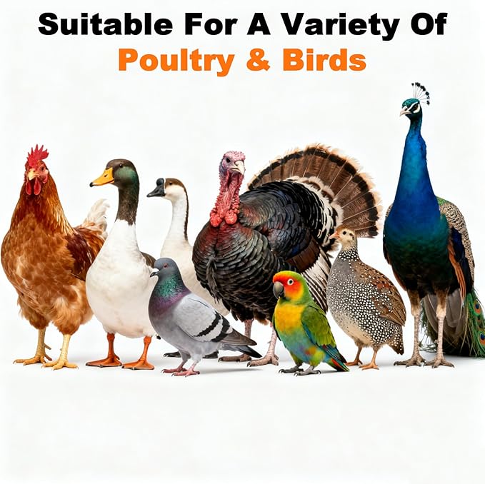 MAQIHAN 20oz Chicken Nesting Herbs - Dried Natural Herb Blend for Laying Hens,Coop Odor Control & Egg Production Support,All-Natural Poultry Feed Supplement for Chickens,Ducks (Vacuum Packed)