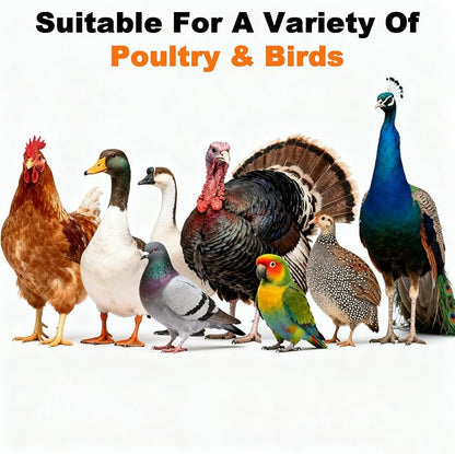 MAQIHAN 20oz Chicken Nesting Herbs - Dried Natural Herb Blend for Laying Hens,Coop Odor Control & Egg Production Support,All-Natural Poultry Feed Supplement for Chickens,Ducks (Vacuum Packed)