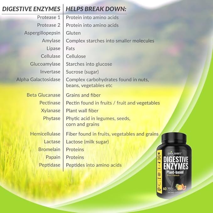 Digestive Enzymes for Men and Women - Enzymes Best for Gut Health & Digestive Health - Ultra Digestive Enzymes May Ease Constipation, Bloating & Gas - Mealtime Discomfort- All Diets - 60 CT