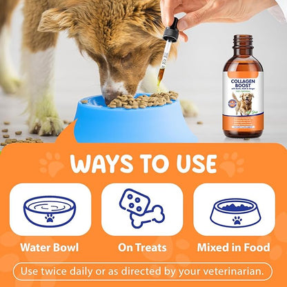 Premium Grass-Fed Liquid Collagen for Dogs - Skin and Coat Support Supplement with Biotin, Vitamin C and Hyaluronic Acid