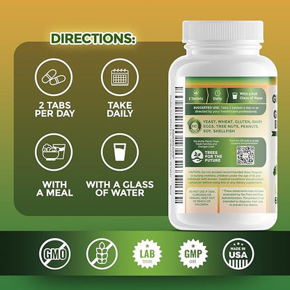 GreeNatr Ginko Biloba & Panax Ginseng Supplement - Red Ginseng Brain Supplement for Memory and Focus - Ginkgo Biloba Supplements for Good Vision, Immune System and Improved Blood Flow - 120 Tablets