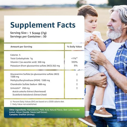 Univera RegeniCARE Green Apple, Glucosamine, Chondroitin, MSM, Univestin, Joint Health, Joint Support, Mobility + Flexibility, Green Apple Flavor, Powder, 30-Day Supply