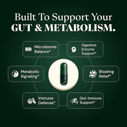 GLP-1 Support Supplement for Nausea, Bloating & Gut Health – Synbiotic Pre, Pro & Postbiotic for Women & Men for GLP-1 Users — Injection & Oral Users – Pharmacist Formulated, 20-in-1 (60 Capsules)