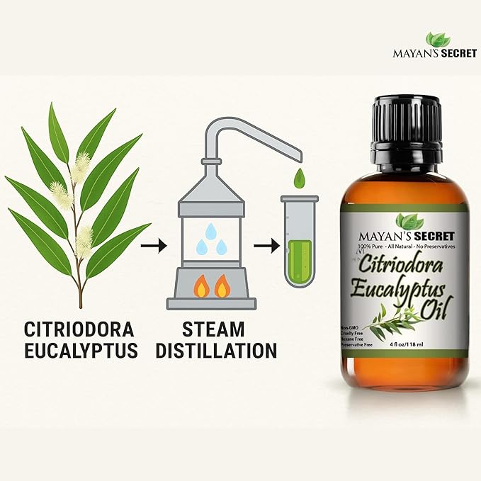 Pure Carrier and Essential Oils for Skin Care, Hair, Body Moisturizer for Face-Anti Aging Skin Care (Citriodora Eucalyptus Oil, 4oz)