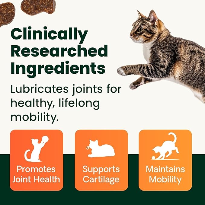 VetriScience Healthy Hip & Joint Chews, GlycoFlex Glucosamine and Green-Lipped Mussel Joint Support Supplement for Cats, Promote Mobility and Protect Joints, Chicken, 60 Count