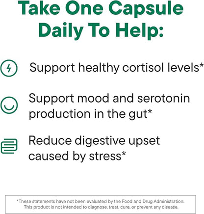 Daily Nouri Stress Support Probiotics for Women & Men | Mood & Cortisol Support | Gut-Brain Axis + Digestive Support | 3 Clinically Studied Strains + Omega | 30-Day Supply