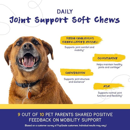 PupGrade Joint Support Supplement for Dogs - Glucosamine + Chondroitin with MSM and Perna - Supports Normal Hip & Joint Health for Occasional Discomfort, Beef Flavor - 360 Soft Chews