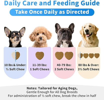 Senior Dog Liver & Joint Supplement – Same, Milk Thistle (Silybin), Glucosamine, MSM for Liver Health Detox, Mobility, Joint Pain Support, Cognitive & Vitality Support, Beef Flavor, 90Ct
