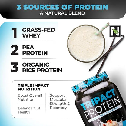 Nutrology TRIPACT Protein Powder - 7-in-1 Meal Replacement Shake with Grass Fed Whey Protein Powder, Pea, Rice, Greens for Muscle Recovery & Immunity, Vanilla Latte & Cinnamon Flavor, 20 Servings