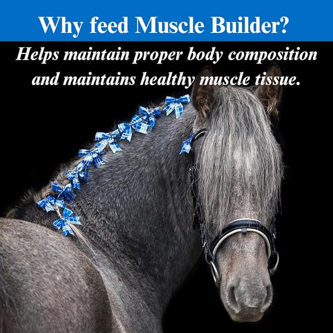 SU-PER Muscle Builder Horse Supplement - Training and Performance Support for Exercising Muscle - 1 Gallon, 4 Month Supply