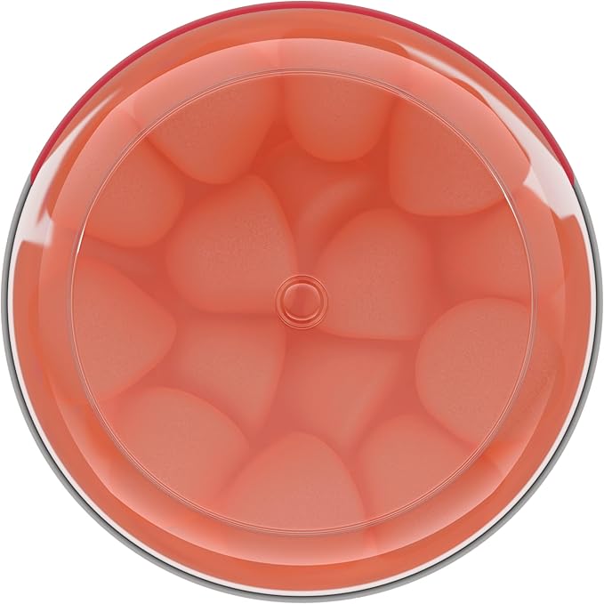 Centrum Morning Sickness Relief Gummies, Citrus Ginger Flavor - 60 Count, Up to 60 Day Supply