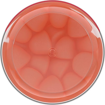 Centrum Morning Sickness Relief Gummies, Citrus Ginger Flavor - 60 Count, Up to 60 Day Supply
