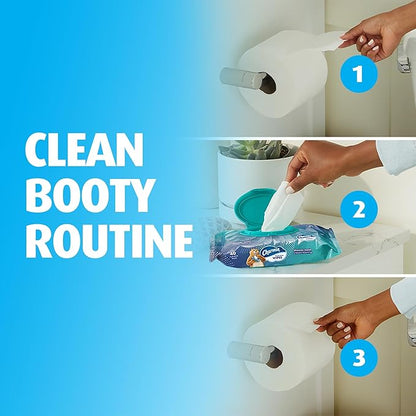 Charmin Flushable Wipes, 480 Total Wipes (12 Packs of 40)