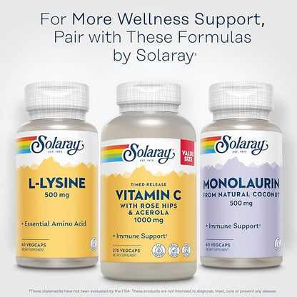 SOLARAY L Lysine 500 mg Capsules - Free-Form Essential Amino Acids Supplement - Powerful Wellness Support with L-Lysine Amino Acid - Lab Verified, 60-Day Guarantee, 60 Servings, 60 VegCaps