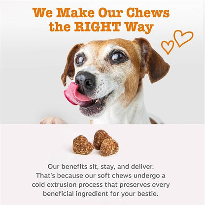 Zesty Paws Probiotics for Dogs - Digestive Enzymes for Gut Flora, Digestive Health, Diarrhea & Bowel Support - Clinically Studied DE111 - Dog Supplement Soft Chew for Pet Immune System - Pumpkin, 90ct