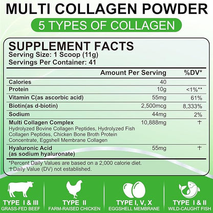 SCOLA Collagen Peptides Powder- Type I, II, III, V, X - Hydrolyzed Collagen Peptides with Vitamin C Hyaluronic Acid, Supports Skin Hair Nail & Joint, Non-GMO, 1lb