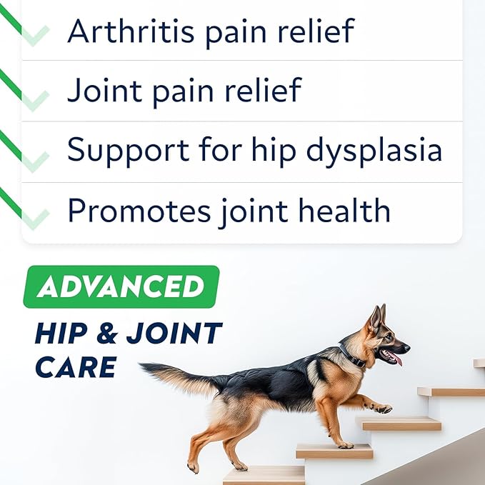 STRELLALAB Advanced Glucosamine Hip & Joint Supplement for Senior Dogs - Green Lipped Mussel & Collagen - Hip & Joint Pain Relief - Large & Small Breed - Joint Health - Bacon - 240 Chews