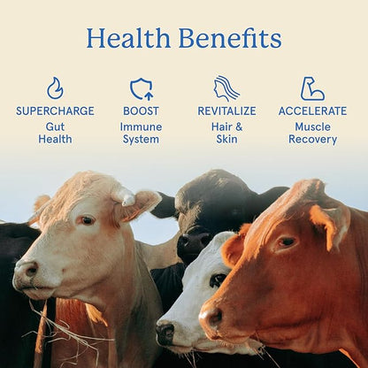 Equip Foods Core Bovine Colostrum Gummies, Delicious 1g Per Seving Grass Fed Colostrum Supplement - Gut Health, Immunity, Recovery, Hair & Skin - 60 Bovine Colostrum Gummies, 30 Servings, Peach Mango