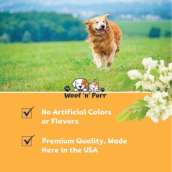 Natural Yeast Infection Treatment for Dogs - Helps to Support Itching Relief, Allergy Relief, Inflammation Relief & More - Itch Relief for Dogs - Dog Ear Infection Treatment - Dog Itch Relief - 1 oz