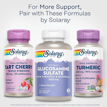 SOLARAY Turmeric Supplement 600mg - Turmeric Root with 95% Curcumin - Joint Support Supplement - Joint Health, Gallbladder and Liver Support, Non-GMO, Vegan, Gluten Free, 60-Day Guarantee, 60 Servings