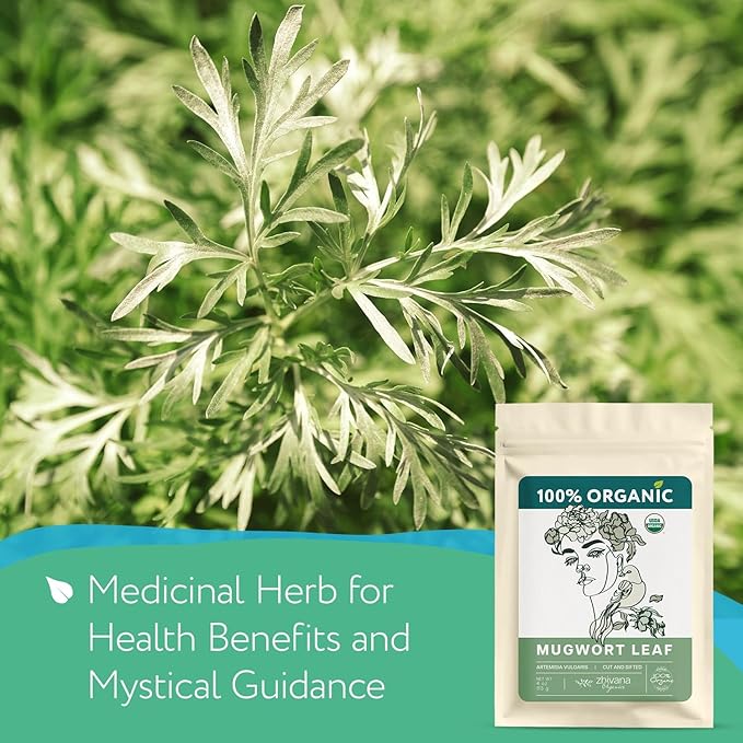 Super Value Pack 5 LB - Mugwort Tea Organic Loose Leaf – Mugwort Herb - Artemisia Hierba Seca Organica – Dried Mugwart Leaves