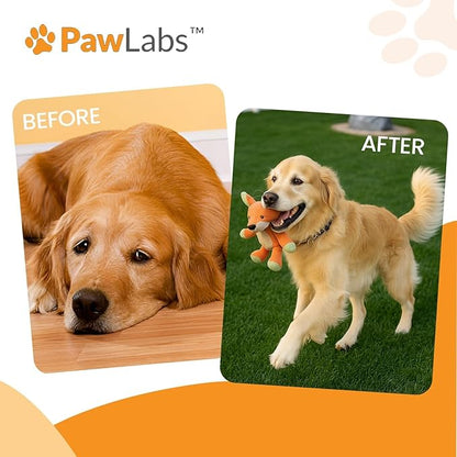 PawLabs Collagen Powder for Dogs - Collagen Type II from Chicken Sternum, Eggshell Membrane, Hyaluronic Acid, Vitamin E & C - Joint Health & Cartilage Support