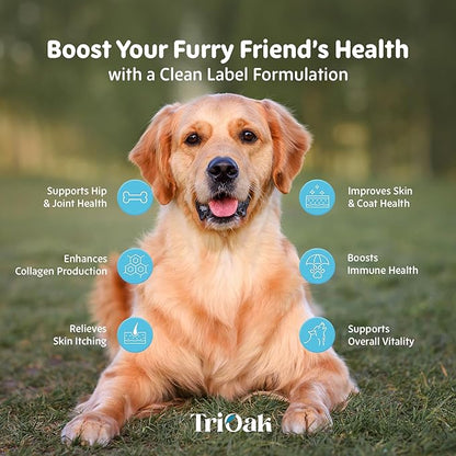 Liquid Collagen Supplement Drops for Dogs: Hip & Joint Support, Skin & Coat Health, Itch Relief in One Daily Supplement with Bioactive Collagen Peptides - Pure Formula Support for All Dog Sizes & Ages