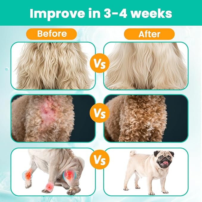 Liquid Collagen for Dogs Cats-Hip & Joint Support, Itch Relief, Skin & Coat Health-Collagen Drop Supplement with Triple Complex (Types I, II,V),MSM, Biotin & Ginger-2 fl oz Bacon Flavor