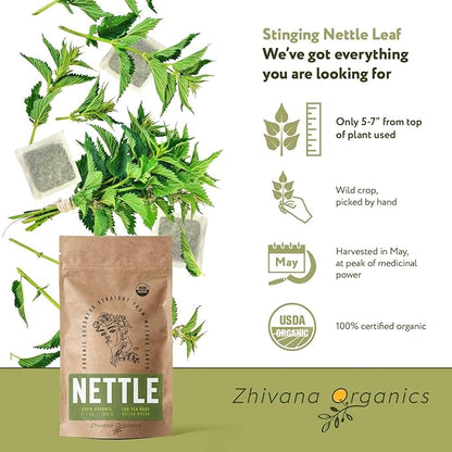 Nettle Tea Organic (100 Tea Bags) - Stinging Nettle Leaf TeaBags (Urtica Dioica) - Te de Ortiga Verde Organica - Support Digestion, Fluid Balance, Kidney, Skin, Hair