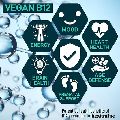 Vegan Probiotic Plus B12 & FOS - 22 Billion CFU Synbiotics Prebiotics and Probiotics for Digestive Health, IBS, Mood Support - B12 Pre Pro Post Biotics for Women & Men - 60 Gluten-Free Capsules