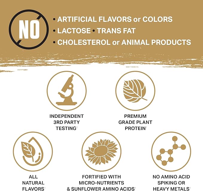 Ambrosia Planta - Plant-Based Protein Powder 20g | Dairy Free Vegan Protein Powder with BCAA Amino Acids | Keto-Friendly, No Added Sugar | 25 Servings | Cookies Cream