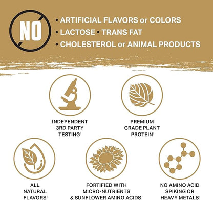 Ambrosia Planta - Plant-Based Protein Powder 20g | Dairy Free Vegan Protein Powder with BCAA Amino Acids | Keto-Friendly, No Added Sugar | 25 Servings | Cookies Cream