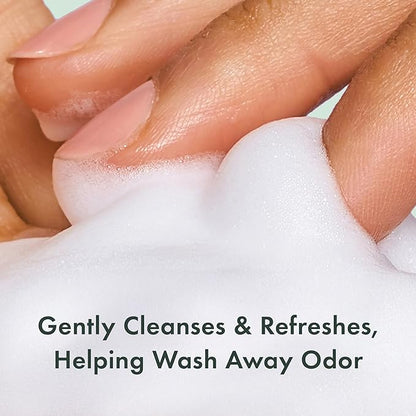 Rael Feminine Wash, Foaming Cleansing Wash - pH Balance Intimate Wash Women (5oz, 2 Pack)