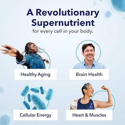TRU NIAGEN Patented NAD Supplement for Brain Function, Anti Aging & Cell Regeneration, 300mg Niagen, 90 Servings | Supports Cellular Energy, Muscle | Nicotinamide Riboside (NR) Take 1 Daily | 1 Bottle