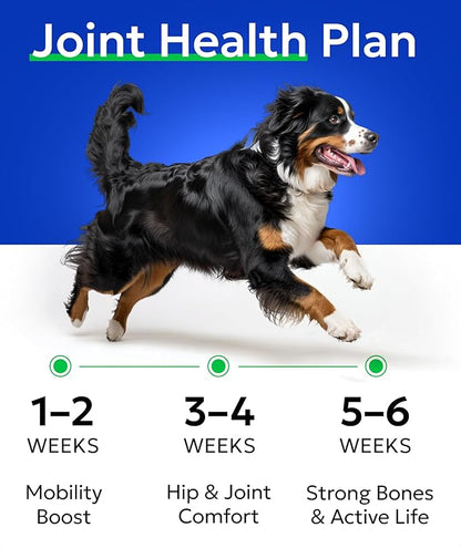 Bark&Spark Glucosamine Chondroitin Dog Hip & Joint Supplement - Joint Pain Relief - Hip & Joint Chews - Joint Support Large Small Breed - Senior Doggie Vitamin Pill Joint Health (180 Treats - Chicken)