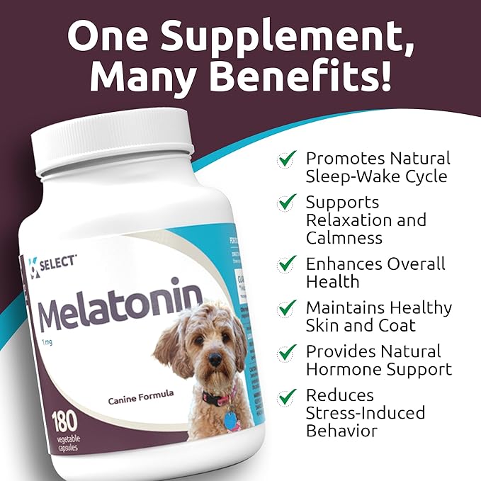 K9 Select Melatonin for Dogs - Calming Aid Tasty Dog Supplement - Helps Overall Health with Quiet Moments and Composure - Reduce Stress Calming Treats for Small Dogs - 1 mg, 180 Vegetable Capsules