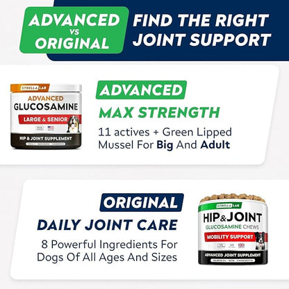 STRELLALAB Advanced Glucosamine Hip & Joint Supplement for Senior Dogs - Green Lipped Mussel & Collagen - Hip & Joint Pain Relief - Large & Small Breed - Joint Health - Bacon - 240 Chews