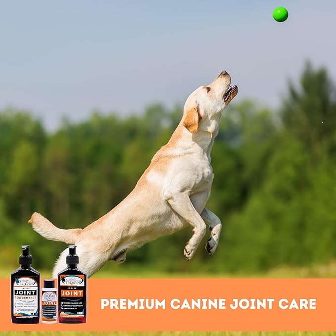 TRIXSYN Canine - Dog Hip and Joint Supplement - Liquid Hyaluronic Acid HA for Dog - Patented Liquid Formula for Senior Dogs - MHB3 Hylauronan - 6 fl oz (2)