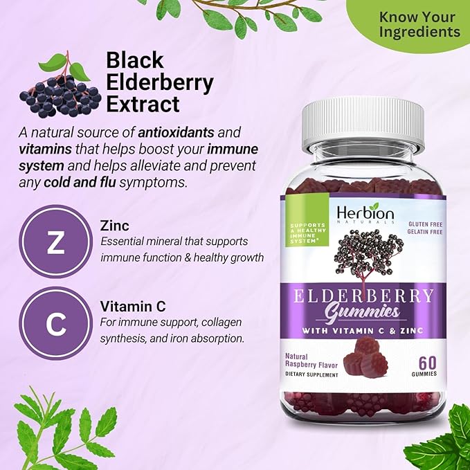 HERBION Elderberry Gummies with Vitamin C & Zinc, Healthy Immune System Support, Gluten-Free & Gelatin-Free, 60 Gummies for Adults & Children 4 Years & Above, Made in USA, Pack of 4