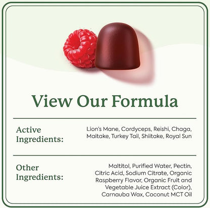 Plant People WonderDay Mushroom Gummies - Lion’s Mane, Cordyceps, Chaga Mushroom Supplement to Support Immune System De-Stress Boost Mood & Energy in Adults Natural, Vegan, Non-GMO (60 Count)