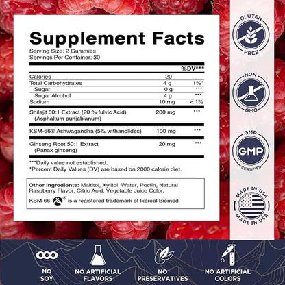 Vitamatic Shilajit with KSM-66® Ashwagandha & Ginseng Extract Gummies – Natural Raspberry Flavor – 60 Vegan Gummies - Made in USA