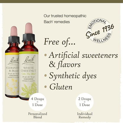 Bach Original Flower Remedies, Clarity of Mind Kit, For Focus and Mindfulness, Natural Homeopathic Flower Essence, Holistic Wellness, Vegan, 3 x 20mL Droppers