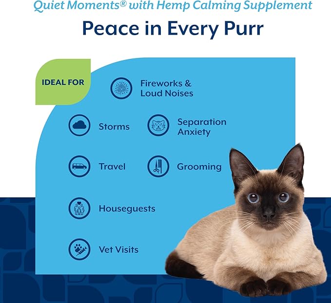 NaturVet Hemp Quiet Moments Plus Hemp Seed for Cats, 60 ct Soft Chews, Made in USA