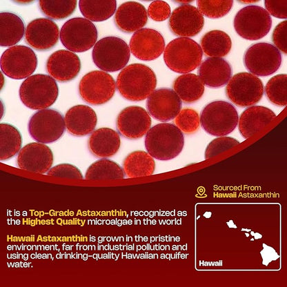 Astaxanthin Gummies, 12mg Per Gummy 24mg Max, Astaxanthin Supplements with Vitamin A/C/D/E, Resveratrol, 14-IN-1 Antioxidants Blend for Women Men, Skin, Eyes, Immune Support, Sugar Free, Vegan, 60 Ct