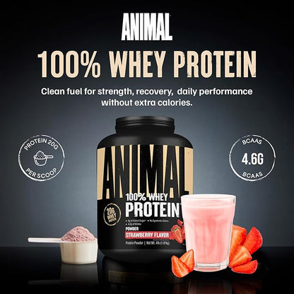 Animal 100% Whey Protein Powder – Whey Blend for Pre or Post Workout, Recovery, Anytime Low Sugar Protein Boost Meal Replacement with BCAA Branched Chain Amino Acids – New Flavor, Strawberry, 4 lb
