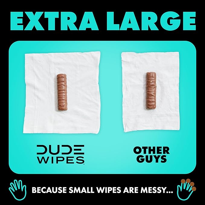 DUDE Wipes - On-The-Go Flushable Wipes - 4 Pack, 60 Count - Mint Chill Extra-Large Individually Wrapped Adult - with Eucalyptus & Tea Tree Oil - Septic and Sewer Safe